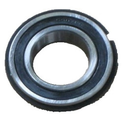 PTO Cam Bearing