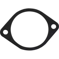 Governor Housing Gasket