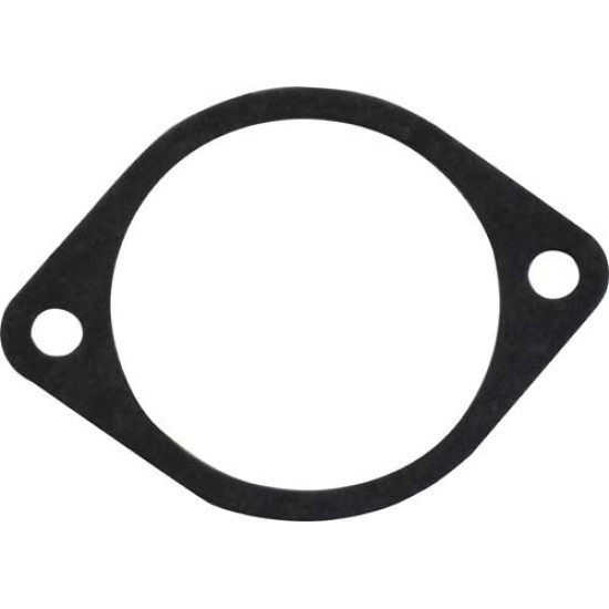 Governor Housing Gasket