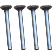 4 Exhaust Valves