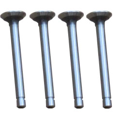 4 Exhaust Valves 4 Exhaust Valves