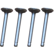 4 Intake Valves 4 Intake Valves