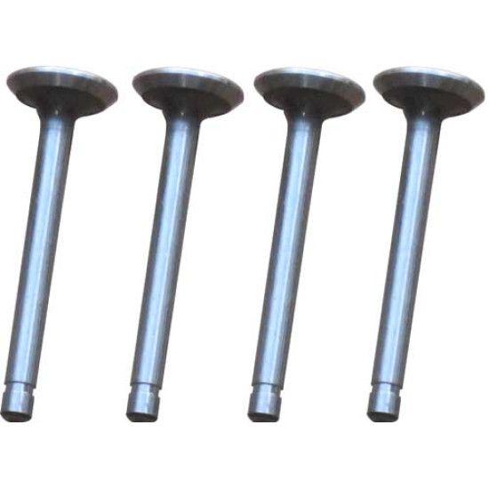 4 Intake Valves 4 Intake Valves