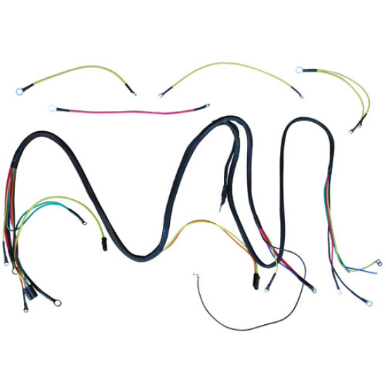 Main and Lighting Wiring Harness Main and Lighting Wiring Harness