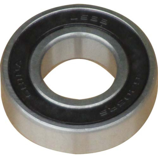 PTO Output Shaft Bearing