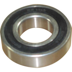 PTO Armature Bearing