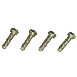 Hub to Flywheel Bolts