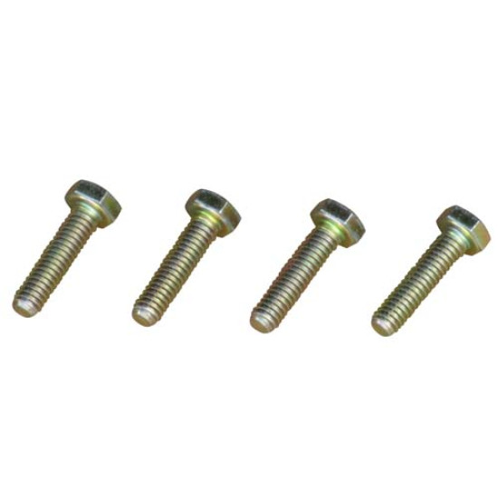Hub to Flywheel Bolts