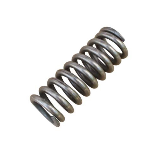 Power Steering Worm Housing Spring