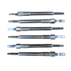 6 Glow Plugs