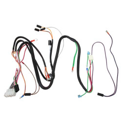 Main Wiring Harness