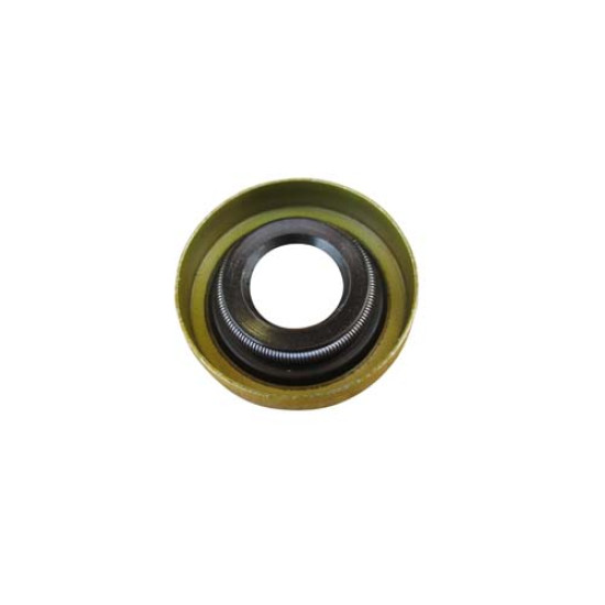 Governor Rockshaft Seal