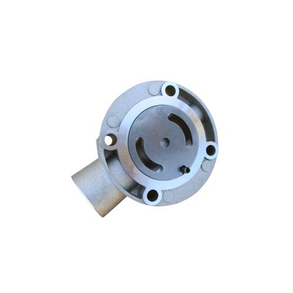 Diesel Injector CAV Pump End Plate - HamiltonBobs