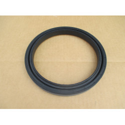 Oil Seal