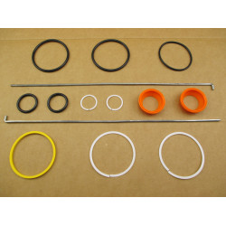 Power Steering Cylinder Seal Kit