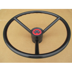 Steering Wheel w/ Cap